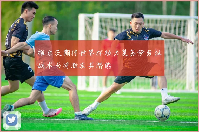 维尔茨期待世界杯助力复苏伊劳拉战术或将激发其潜能
